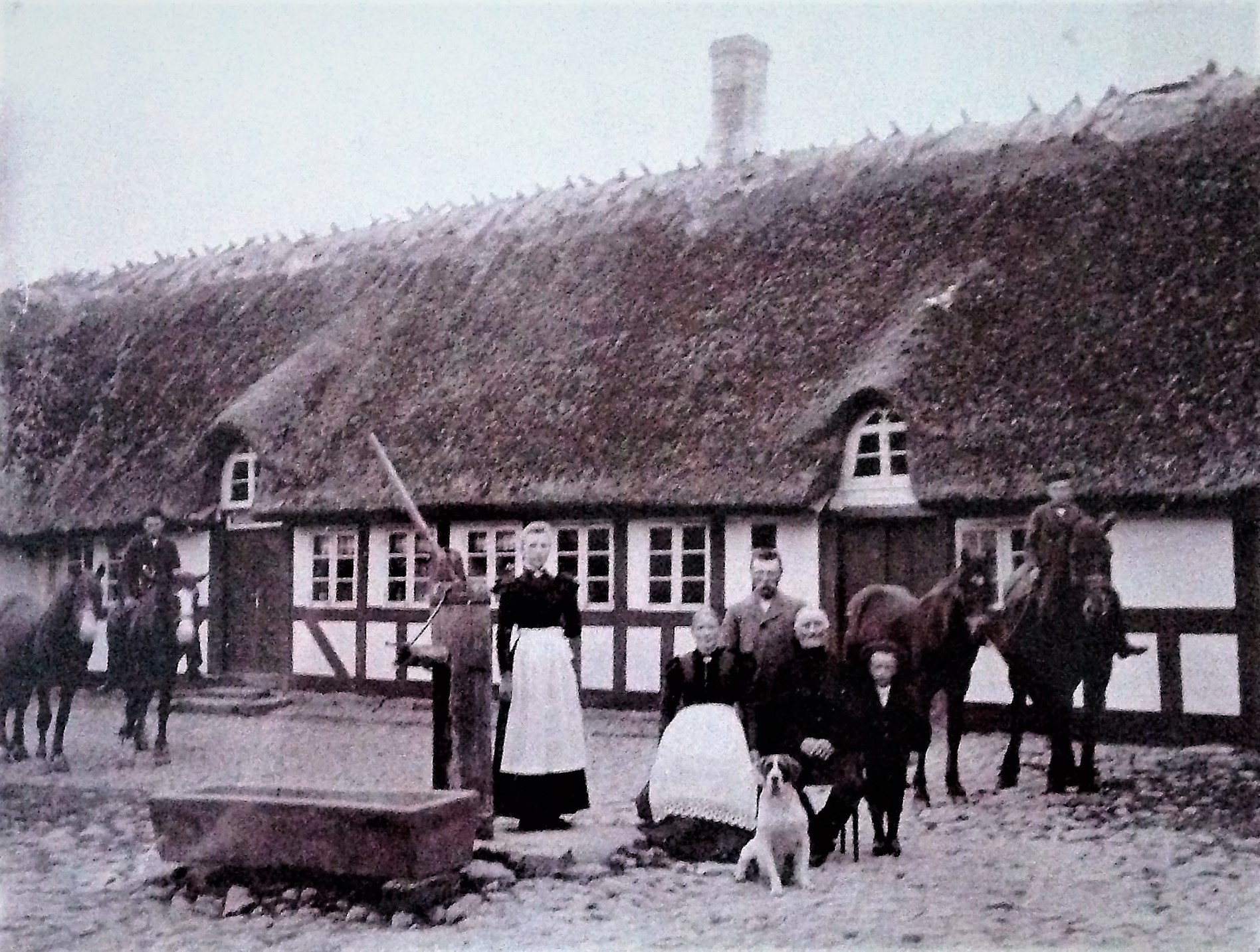 Familien Damsted på gårdspladsen i Gerskov ca. år 1900
