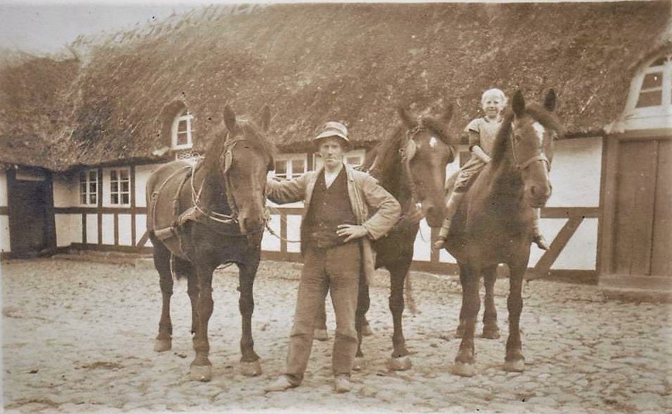 Laurits Damsted på gårdspladsen med tre heste og sin lillesøster Ester på hesteryg. Sted fødegården i Gerskov. 4